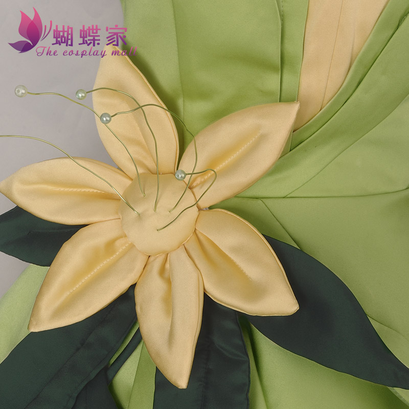 Prinzessin Tiana Kleid Cosplay – Men'S Accessories Designer Bewertung und Preis